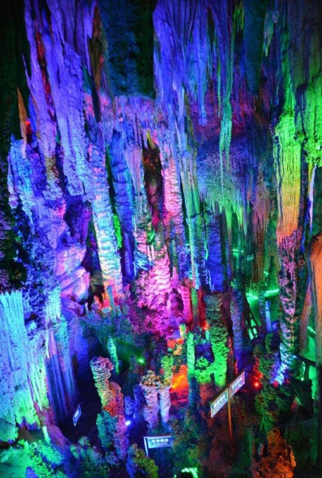苏芒说一天650伙食费不够，明星每天伙食费有多高？游戏画面