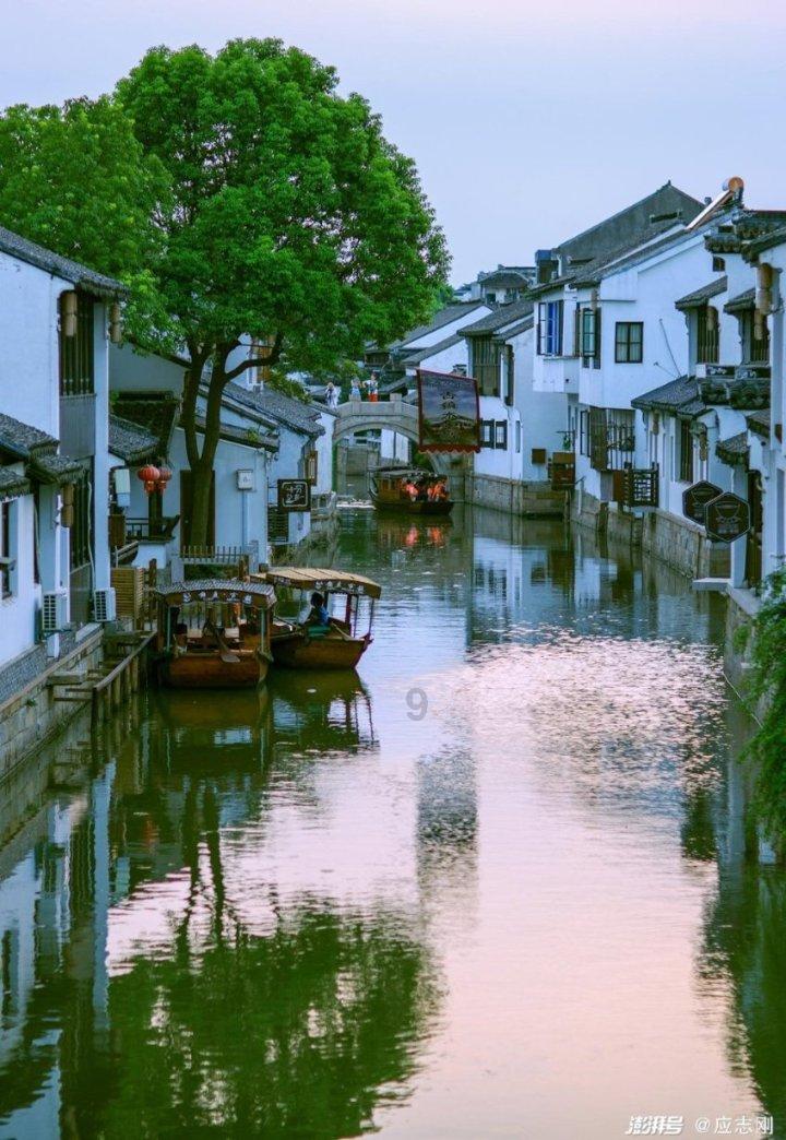 全村的希望